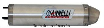 Product image: Giannelli - 34602HF - Silencer RIEJU MRX 50 '02/03  CEE E13  Silencer  Alu    0