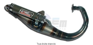 Product image: Giannelli - 31620E - Exhaust REVERSE TYPHOON 50 2013    