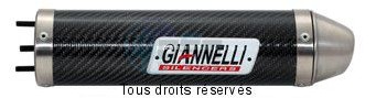 Product image: Giannelli - 54603HF - Silencer  MX 125 2004  CEE E13  Silencer  Carbon  0