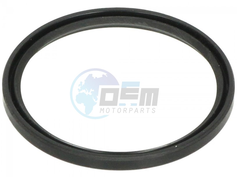Product image: Aprilia - 289950 - Ring for driven pulley (33x39x3)  0