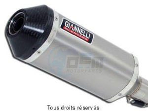 Product image: Giannelli - 73756T6Y - Silencer  GLADIUS 650 '09/10  Hom. E13 CHAP.9 SlipOn Titanium and End cap Carbon 