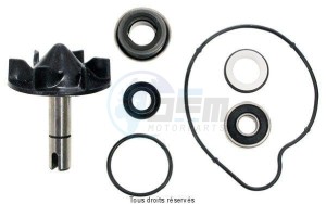 Product image: Sifam - POMPWAT25 - Water pump Tmax 530 12 / 16 