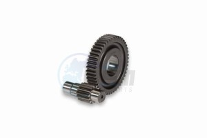 Product image: Malossi - 679966 - Gear wheel secondairy - HTQ Teeth-ratio 13/48 - shaft Ø17mm 