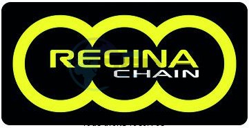 Product image: Regina - 95H060096-ORP - Chain Kit Honda Cbf 600 N/S Special O-ring year 08- Kit 16 42  0