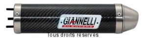 Product image: Giannelli - 53511HF - Silencer  RS 125 94/07   TUONO 125 '04  CEE Silencer Carbon With DB-Killer Cap 