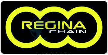 Product image: Regina - 95A10006-ORP - Chain Kit Aprilia Rsv4 Factory Special O-ring Kit 16 42  0