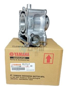 Product image: Yamaha - 2DSE13111000 - CYLINDER 1  0