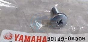 Product image: Yamaha - 901490630600 - SCREW(3JM)  0