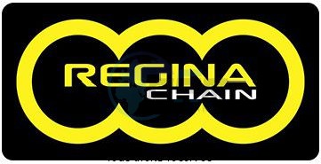 Product image: Regina - 520-RS3-110 - Chain 135 Rt 110 Links Chain 135 RS3 110 Hyper Reinforced  0
