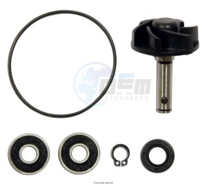 Product image: Kyoto - POMPWAT4 - Water pump Revision kit Engine Minarelli  Seal 1 side closed Ep6 